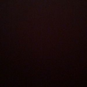 Meet your Posher, Ginger